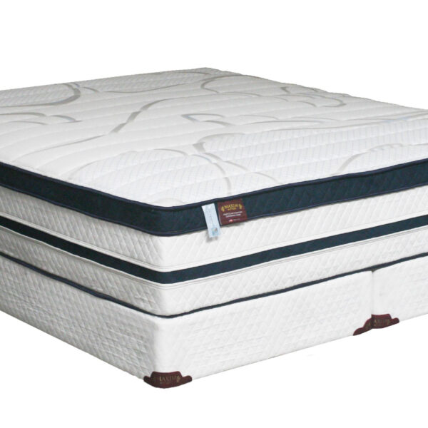 maxim mattress